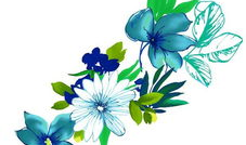 花落红漫画,漫绘青春，绘梦人生