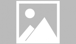 网络直播91,91网络直播带你领略无限精彩